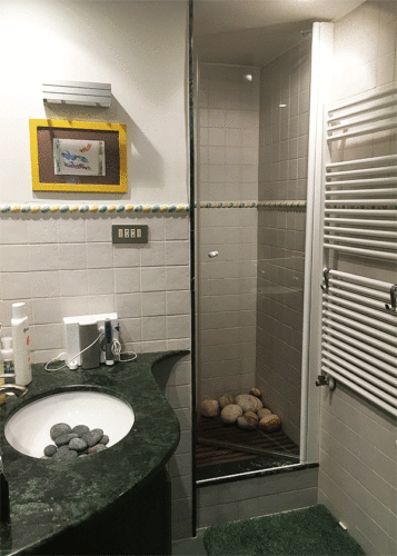 Mampara de ducha de 1 puerta batiente AL/FDB100 photo review