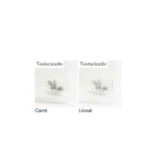 MASTER CARRE o LINEAL